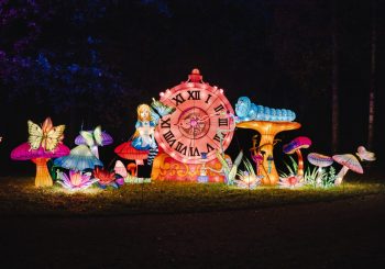 Межапарк приглашает вас в мир волшебства и света