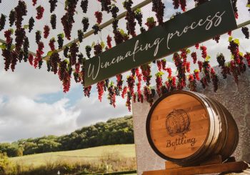 Праздник урожая в The Mall Luxury Outlets