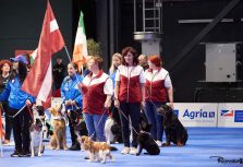 Танцуют все! Состязания по танцам с собаками  на выставке “Латвийский победитель 2022”