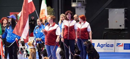 Танцуют все! Состязания по танцам с собаками  на выставке “Латвийский победитель 2022”