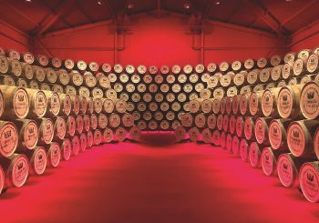 Время пить ром или Разбираемся в разновидностях «смерти дьявола»