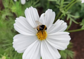 Санда Краста: испытать новые эмоции теперь легче, чем когда-либо