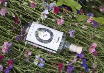 Латвийское предприятие приступило к производству безалкогольного джина