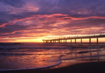 День Святого Валентина на Версильской Ривьере