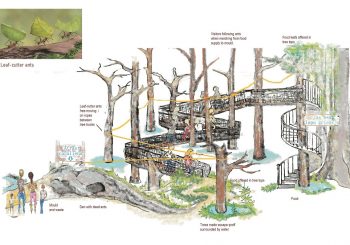 RigaZoo. Future Continuous*