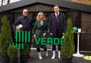 В Скансте на террасах проекта VERDE посажены “базовые деревья”