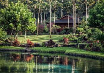 Four Seasons Resorts Hawaii. Атмосфера Гавайских островов у вас дома