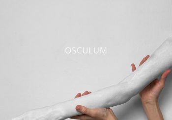 Выставка художницы Кристы Виндберги Аузниеце «OSCULUM. BASIUM. SUAVIUM»
