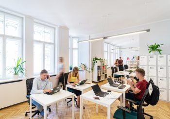 Весной заявки на участие в бизнес-инкубаторах ЛАИР подали 854 новых предпринимателей