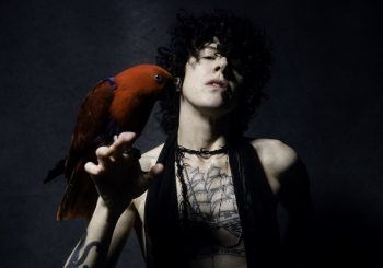 В концертном зале «Дзинтари» выступит певица LP