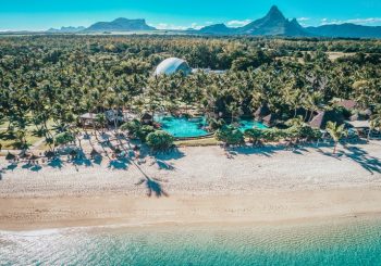 Команда Sunlife Resorts приняла участие в Кубке мира по кондитерскому искусству
