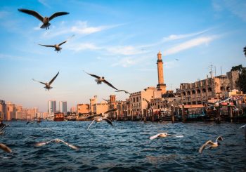 Дубай: третий год подряд №1 в рейтинге мировых туристических направлений по версии Tripadvisor Travellers’ Choice Awards