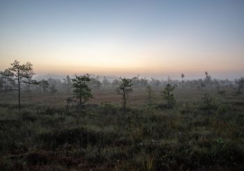 Создано уникальное музыкальное произведение – природные ритмы для городской суеты