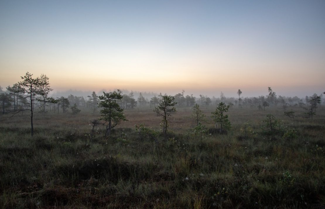 Создано уникальное музыкальное произведение – природные ритмы для городской суеты