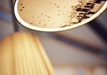 #есть_повод. Париж как Мекка для влюбленных