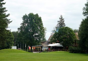 Гольф ждет друзей