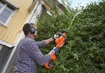 Виртуальный дровосек