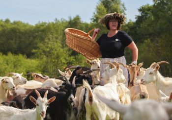 «Дни домашних кафе» ждут вас и на этих выходных