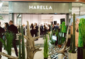 Новоселье у Marella