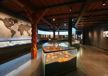 Новый музей в Литве приглашает познакомиться с наследием Балтии через призму янтаря