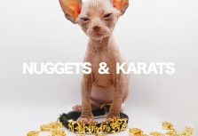 Ошейник с характером: Nuggets & Karats представил коллекцию именных букв