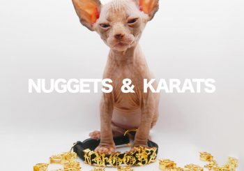 Ошейник с характером: Nuggets & Karats представил коллекцию именных букв
