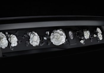 Роза сорта Phantom: цветущая муза Rolls-Royce