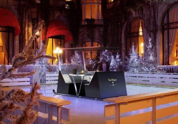 Ужин в санях