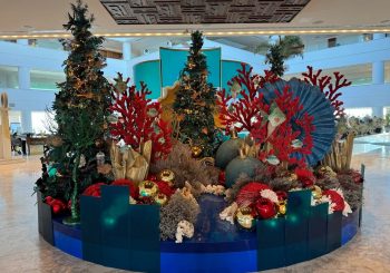 Новогодний ужин и зрелищное представление в отеле Parklane, a Luxury Collection Resort & Spa, Limassol