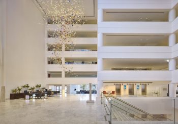 Дизайн отеля Parklane, a Luxury Collection Resort & Spa создали самые известные дизайнеры мира