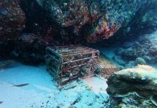 На атолле Баа представили первую сертифицированную партию рома подводной выдержки