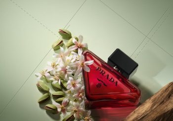 Paradoxe Radical Essence — сладость, в которой есть соль