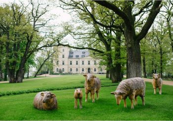 Предложение для принцесс