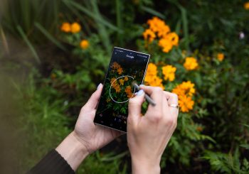 Уникальный венок при поддержке искусственного интеллекта