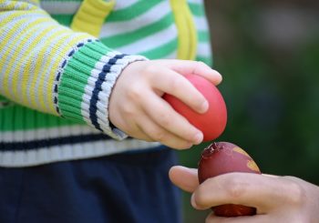 Советы от шеф-повара Раймонда Зоммера, чтобы стать лидером в битвах яиц