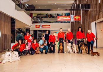 Приветствуем четвероногих друзей: торговые центры AKROPOLE теперь можно посещать с собаками и кошками