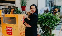 Поддержите четвероногих друзей: торговые центры AKROPOLE начинают совместную благотворительную акцию с приютом для животных Labas majas