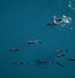 RAH GILI Maldives объявляет программу Circle of Light для зимних праздников
