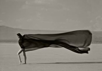 Выставка Рене Джейкобс в отеле Sinner Paris