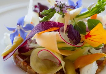 Мастер-класс. Вегетарианский севиче от Эммануэля Орклуа