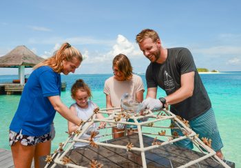 Спасение на водах с Sheraton Maldives