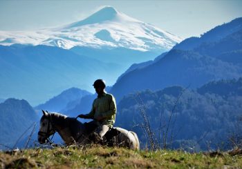 Год Лошади: самые красивые маршруты верховой езды в дикой природе Африки и Южной Америки