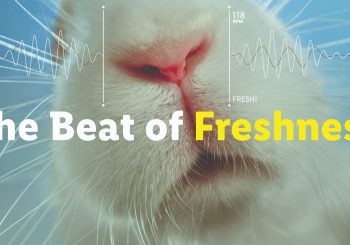 «Lidl» начинает креативную кампанию, подчеркивающую свежесть фруктов и овощей