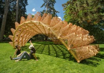 Уникальный объект «Павильон плетения» латвийского архитектора выставлен во французских Альпах