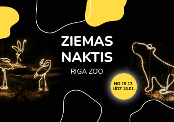 «Зимние ночи» возвращаются в Рижский зоопарк