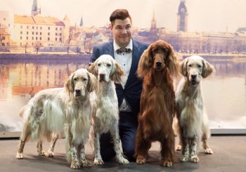 Выставка PetExpo 2021 соберет четвероногих друзей на Кипсале