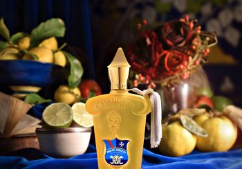 Посвящение Амалфи