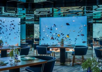 Праздничный сезон на курорте Anantara Kihavah