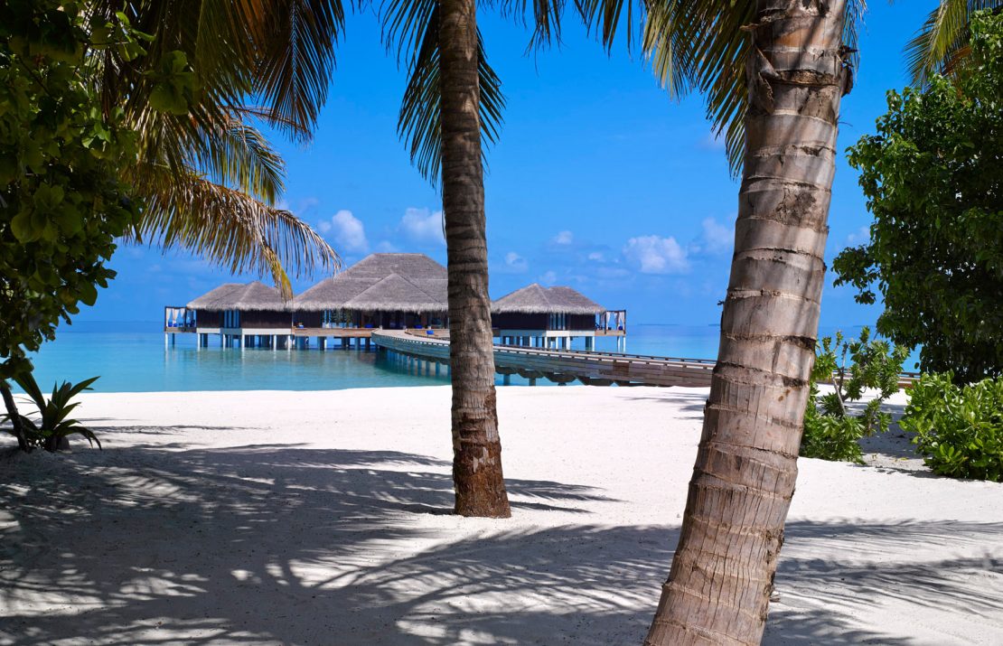 В лунном свете