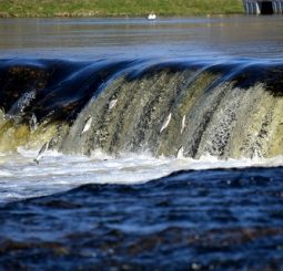 В ближайшие выходные в Кулдиге пройдет праздник Lido zivis Kuldīgā 2026
